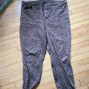 American Eagle leopard print pants